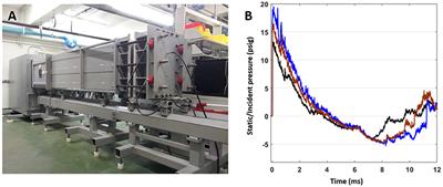 Repeated Low-Level Blast Overpressure Leads to Endovascular Disruption and Alterations in TDP-43 and Piezo2 in a Rat Model of Blast TBI